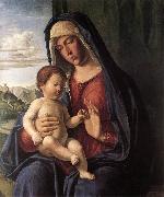 Madonna and Child dfhdt CIMA da Conegliano